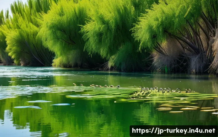 튀르키예 주요 하천 생태계 - A vibrant scene of the Euphrates River ecosystem in Turkey during springtime, showcasing a variety o...