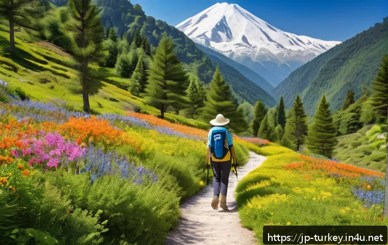 튀르키예 국립공원 탐방 - A vibrant spring hiking trail in a Turkish national park, featuring colorful wildflowers blooming ab...